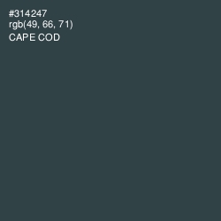 #314247 - Cape Cod Color Image